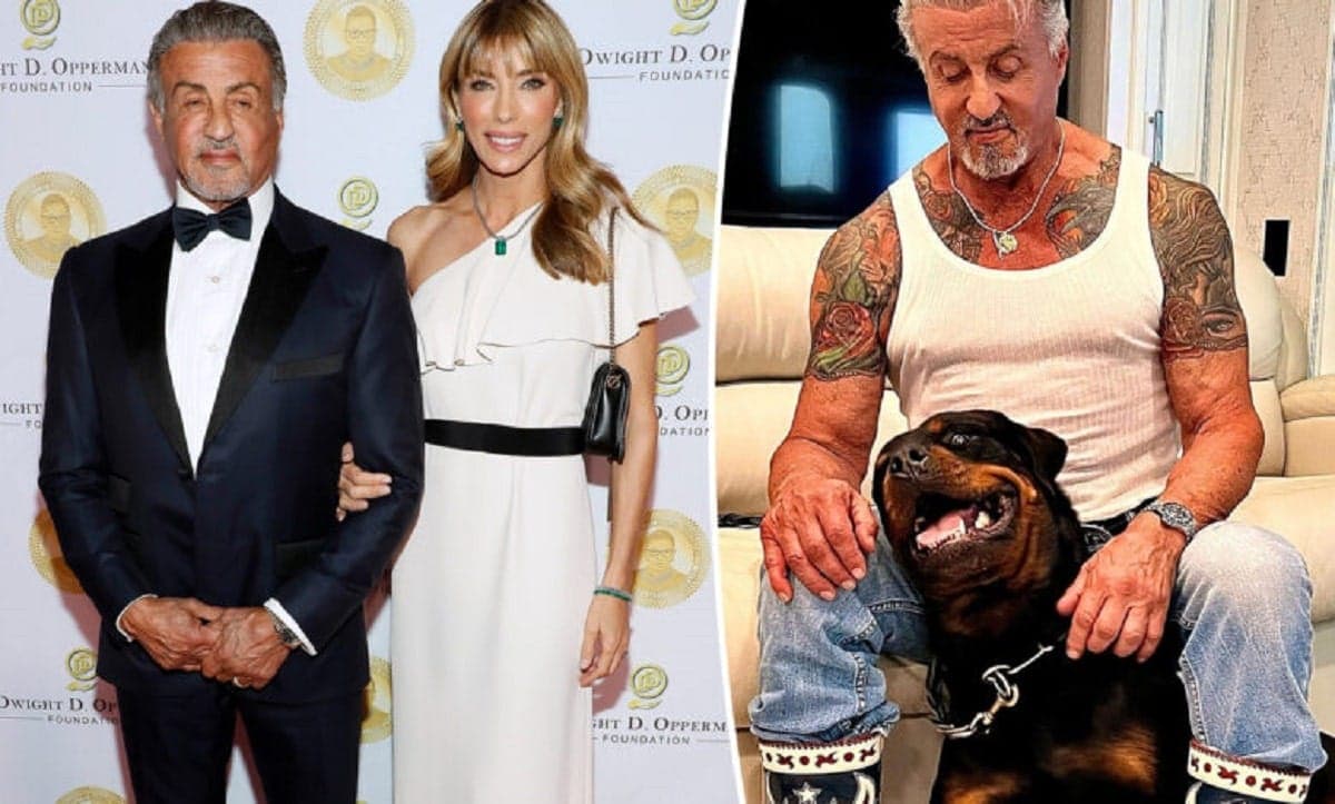 « Le divorce entre Sylvester Stallone et son épouse Jennifer a été causé par un chien »