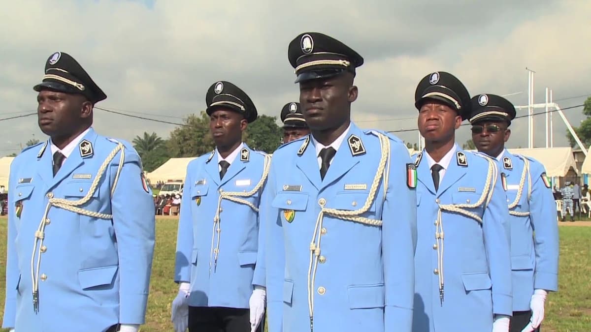 Côte d’Ivoire : un champ de cannabis découvert près de Sémien, un suspect arrêté
