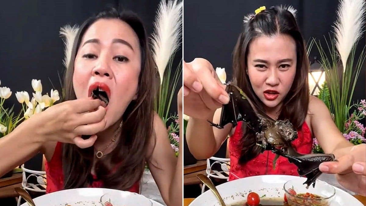 Thaà¯lande: Elle mange une chauve-souris entière devant la caméra et risque 5 ans de prison (vidéo)