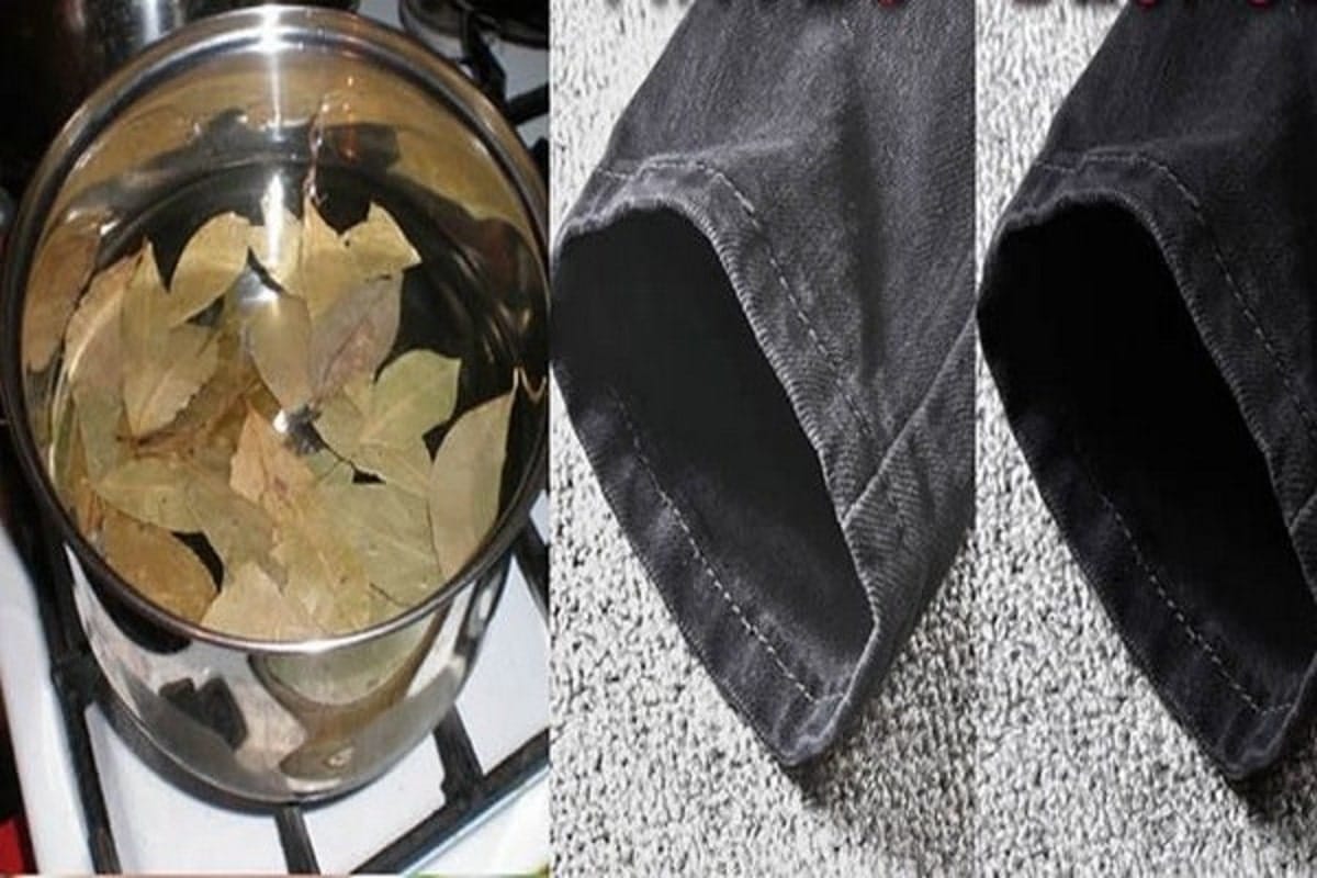 Bon à savoir : la feuille de laurier, un ingrédient pour entretenir le linge