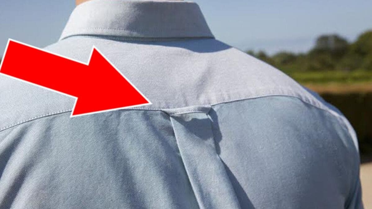 Bon à  savoir : à  quoi sert la boucle au dos des chemises des hommes ?