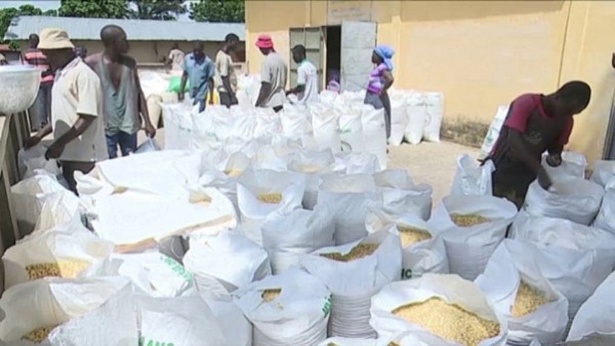 Le Togo adopte un plan septennal de sécurité alimentaire