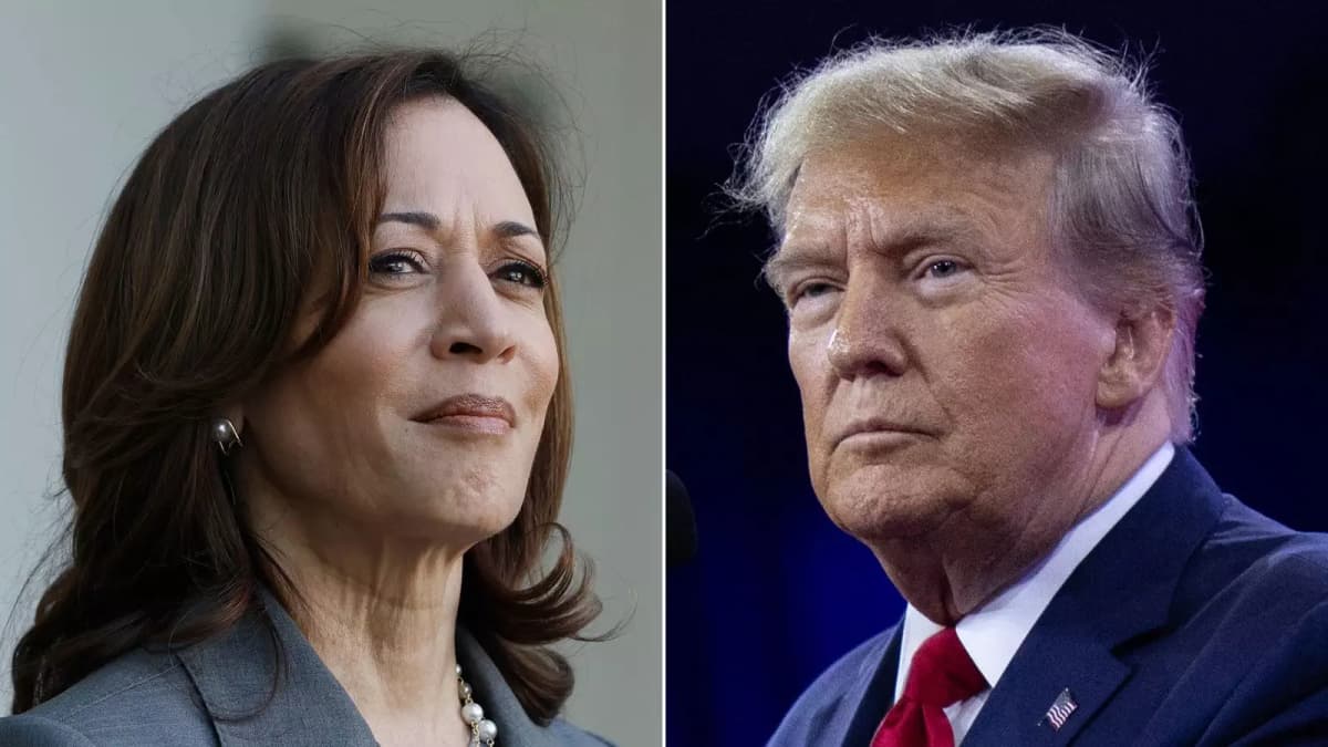 Kamala Harris ou le coup du karma de Donald Trump ?
