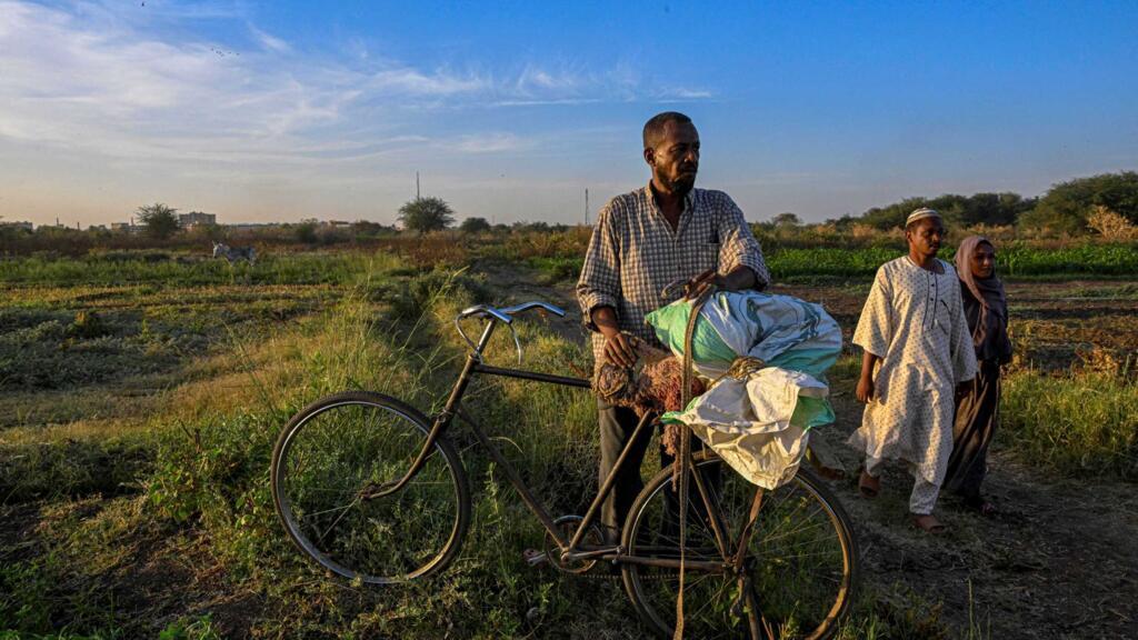 Soudan : l’ONU craint qu’El Niño n’aggrave une crise alimentaire déjà massive