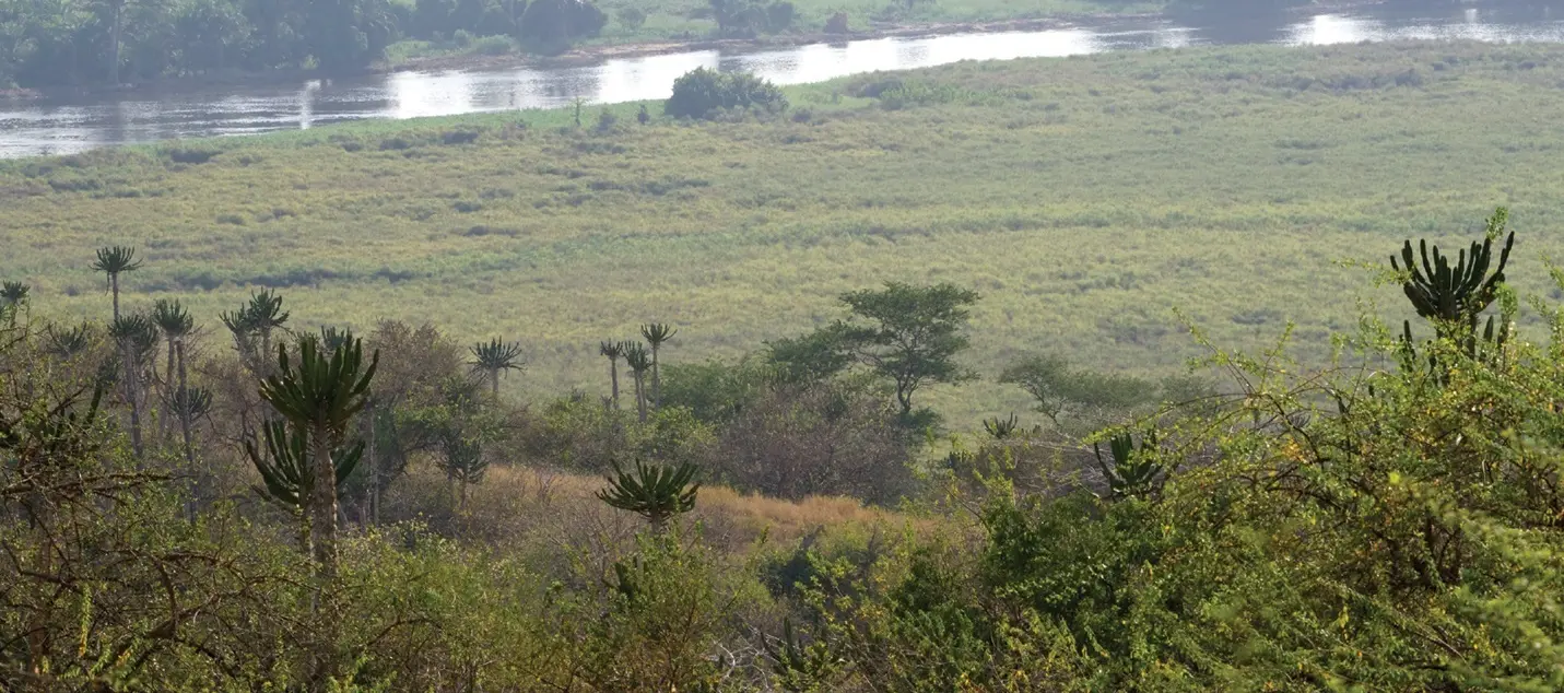 Angola : Quiçama, parc national relancé et réserve de biosphère de l’UNESCO