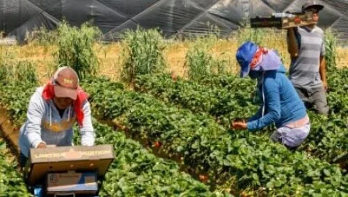 Maroc : la SFI prépare une garantie de 13,5 millions de dollars avec Crédit du Maroc