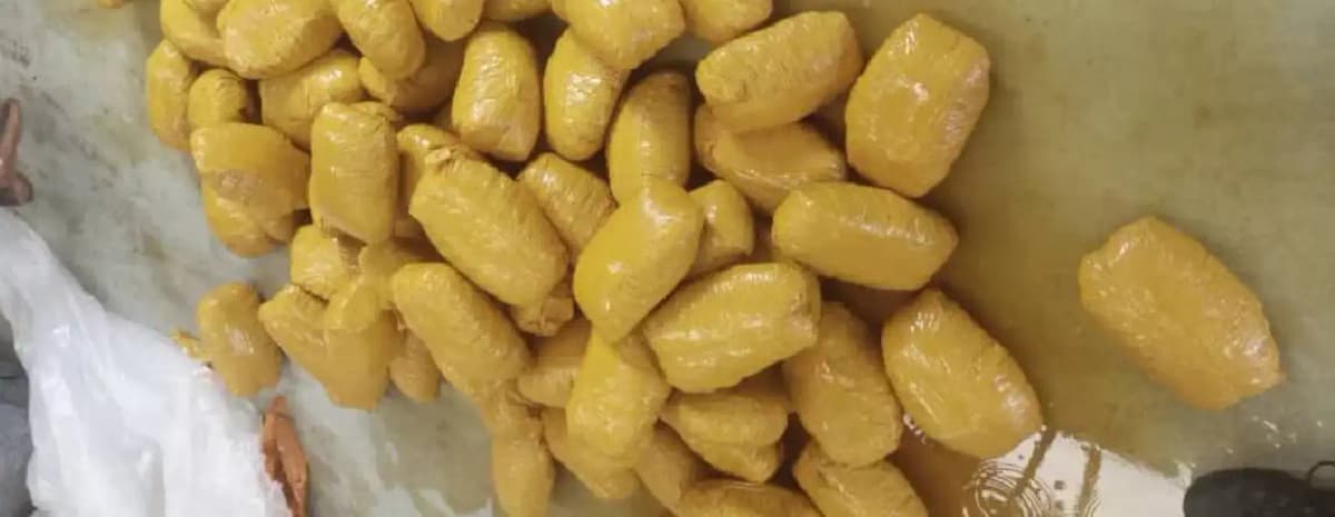 Malanville: 502 blocks of cannabis seized in a rice truck