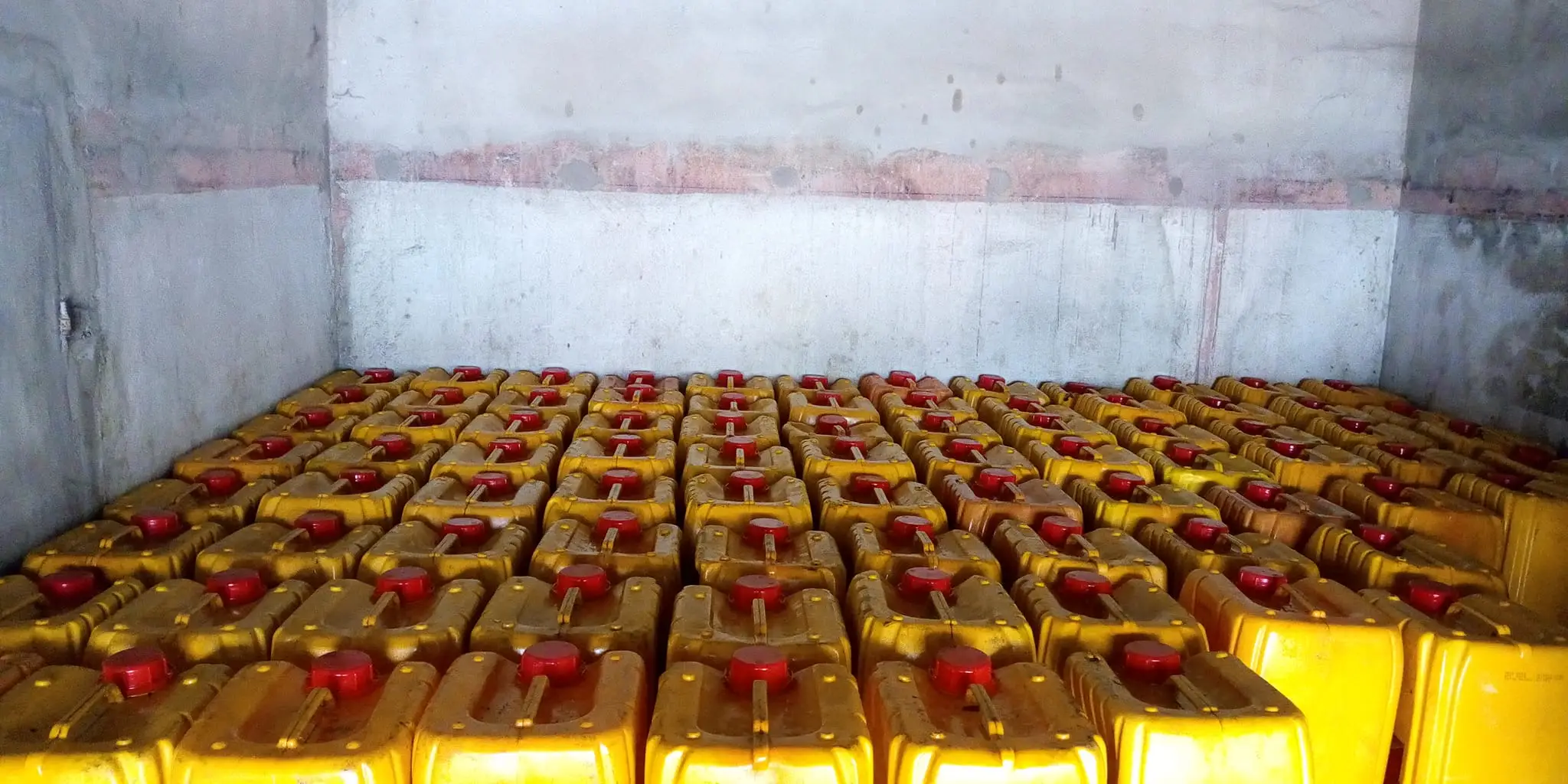 Senegal: peanut oil exports reach their highest level in six years in 2025