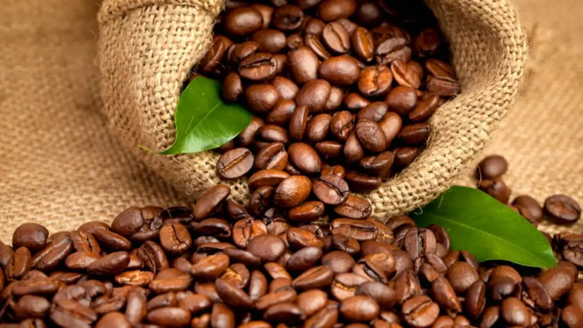 Home café 2026: the coffee corner becomes a small luxury in the home