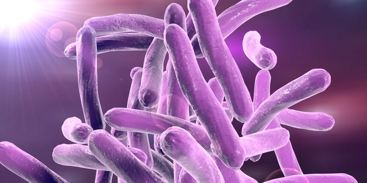 Tuberculosis: new vaccines could prevent 7.3 million deaths