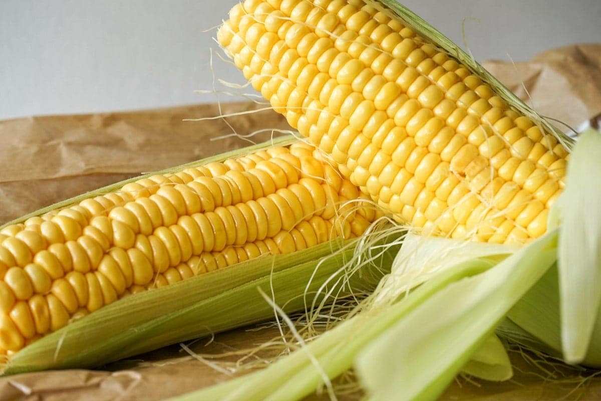 Bon à  savoir : voici 05 bonnes raisons de consommer le maà¯s