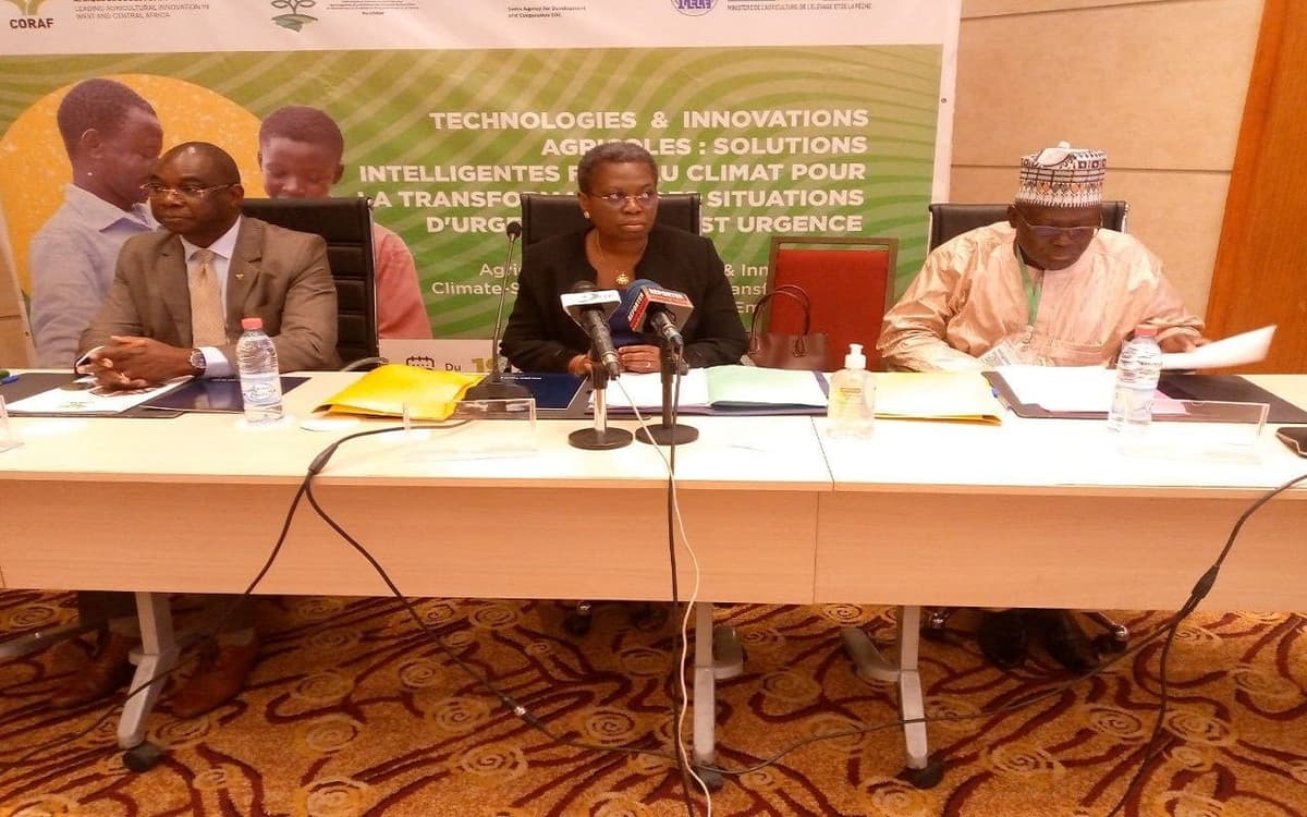 Recherche agricole en Afrique de l’OuestÂ : Un symposium du Coraf mobilise autour des solutions intelligentes Â Â Â 