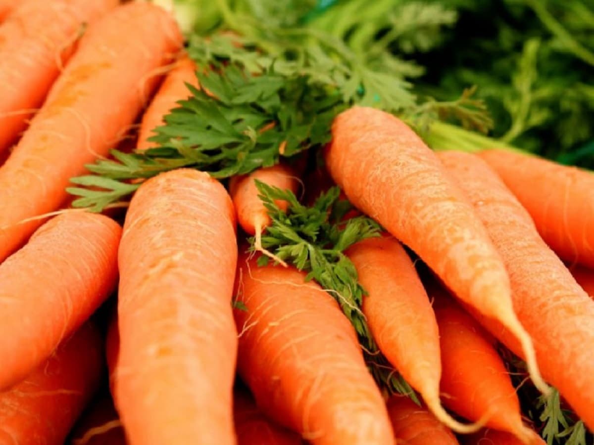 Cuisine : découvrez 02 astuces pour mieux conserver les carottes pendant longtemps