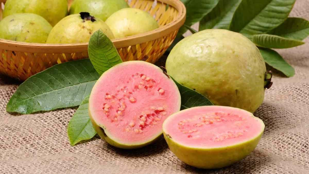 Goyave : voici 07 raisons de consommer régulièrement ce fruit aux mille vertus