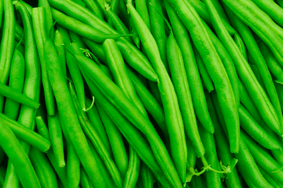 Bon à  savoir : 05 bienfaits santé du haricot vert