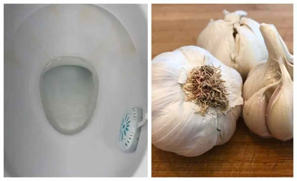 Recette magique d’ail et de sel pour prendre soin de vos toilettes
