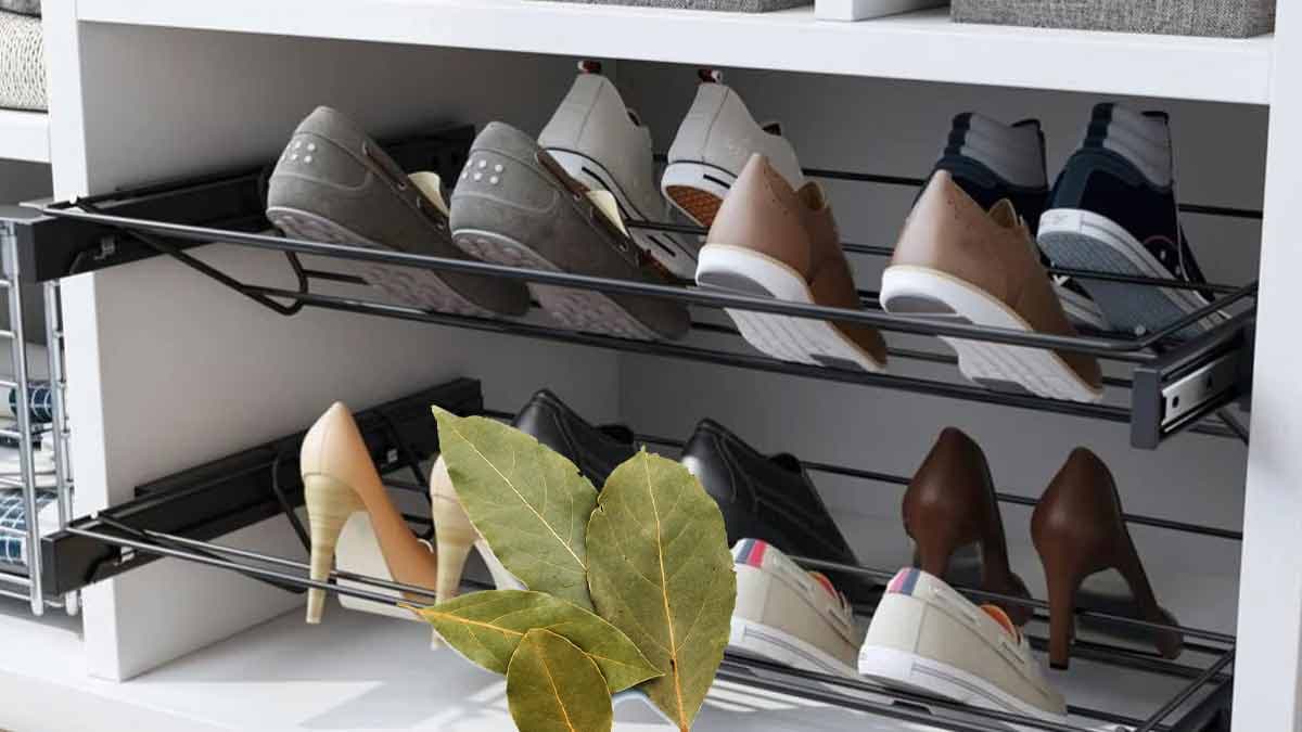 Dites adieux aux mauvaises odeurs dans vos placards à  chaussures avec cette recette de feuilles de laurier