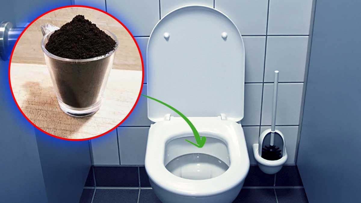 Hygiène : voici pourquoi vous devez mettre le marc (résidu) de café dans vos toilettes