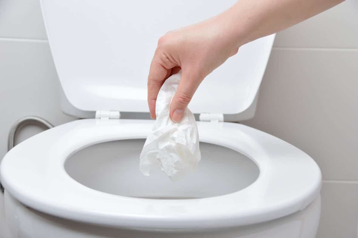 Astuces: ces 02 ingrédients pour enlever rapidement le calcaire de vos toilettes