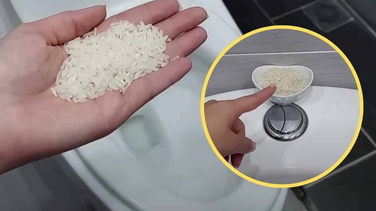 Bon à  savoir : pourquoi vous devez placer un bol de riz cru dans votre salle de bain