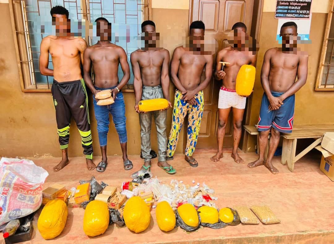 Bénin: 6 présumés malfrats arrêtés avec une importante quantité de chanvre indien
