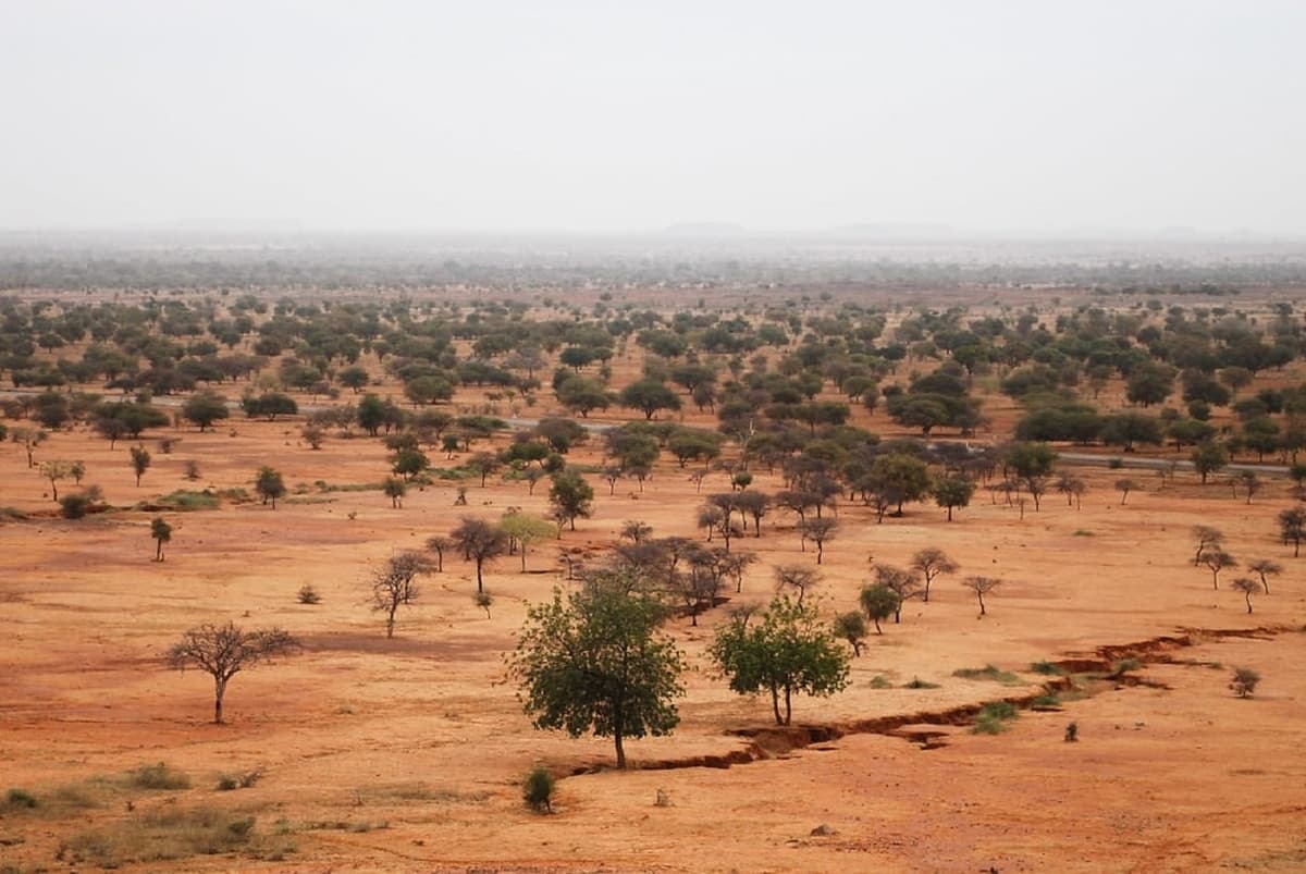 Putsch au Niger: le Sahel plongé dans une spirale de coups d’État