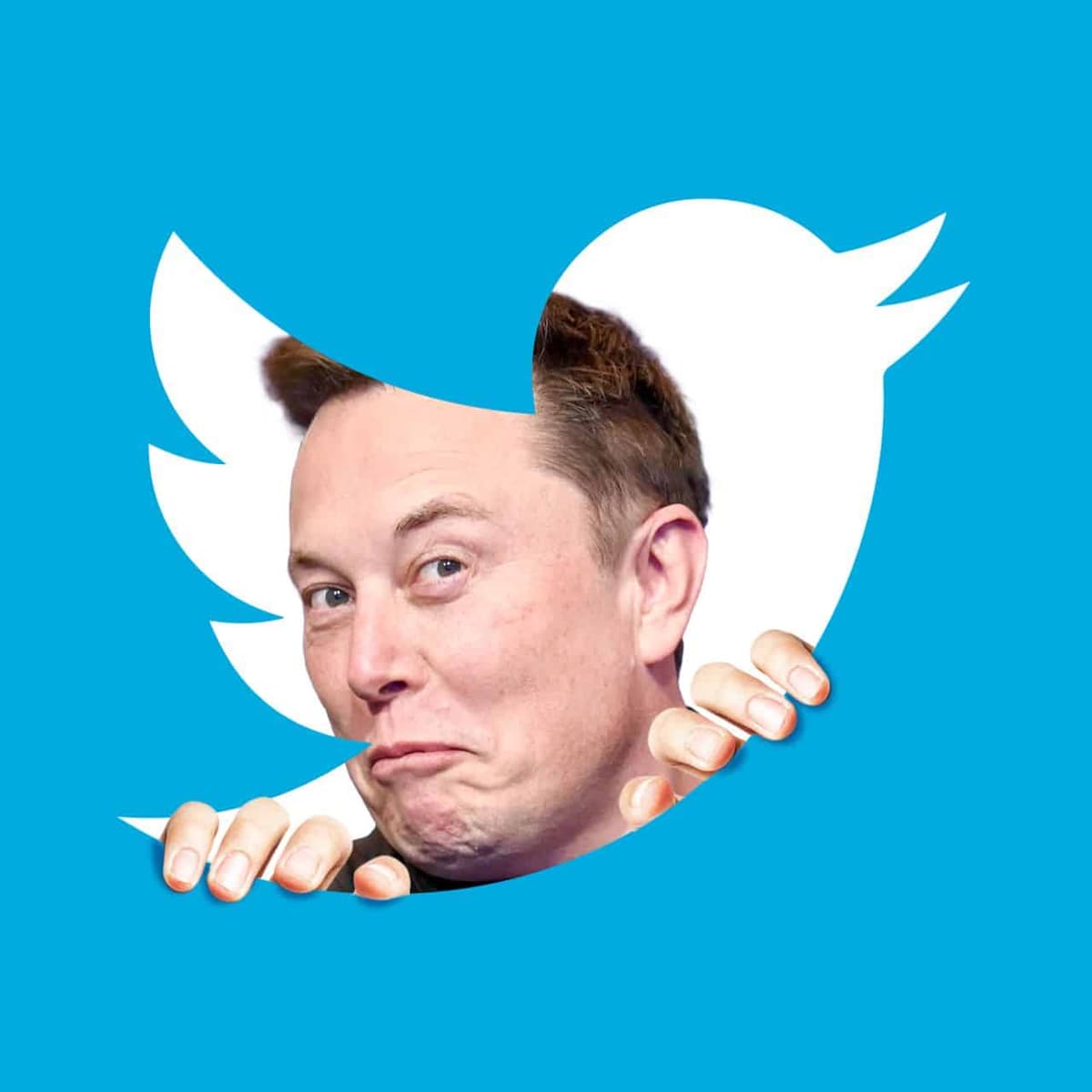 Elon Musk estime que Twitter vaut Â actuellement, moins de la moitié de son prix d’acquisition