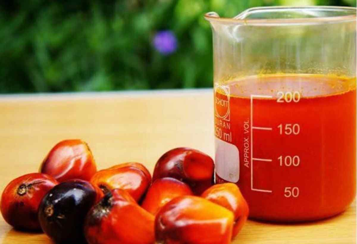 Bon à  savoir : les vertus beautés insoupçonnées de l’huile de palme