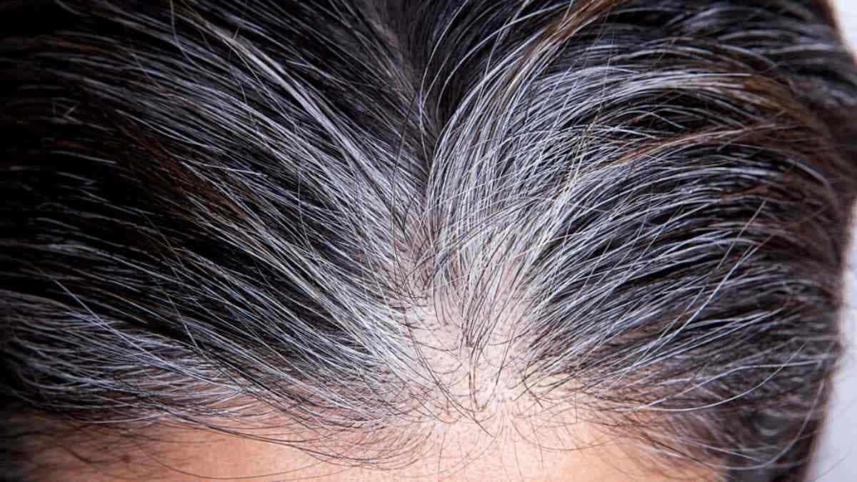 BeautéÂ : voici la raison pour laquelle vous ne devez pas arracher vos cheveux blancs