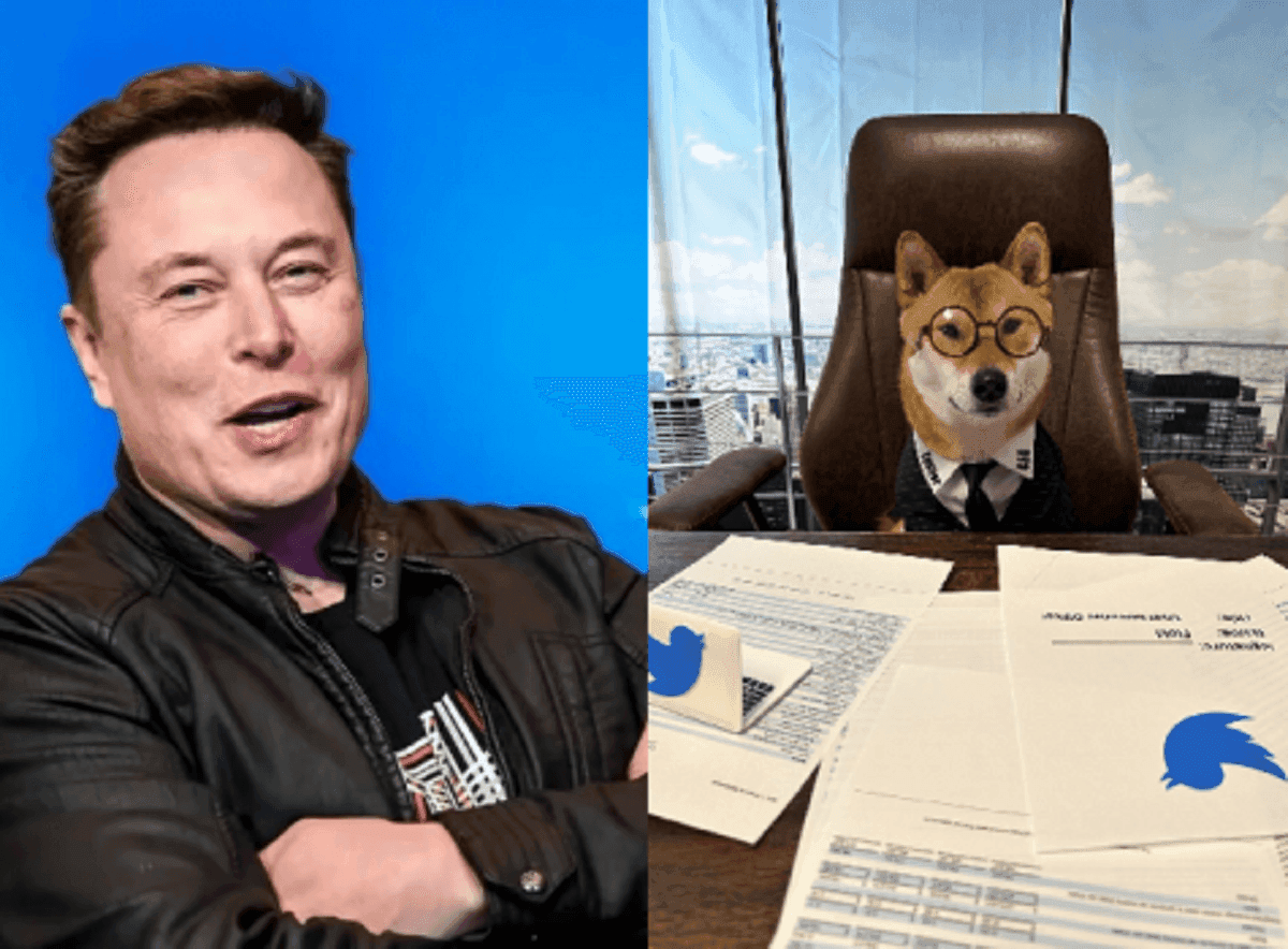 Elon Musk présente son fameux chien Floki comme le nouveau PDG de Twitter