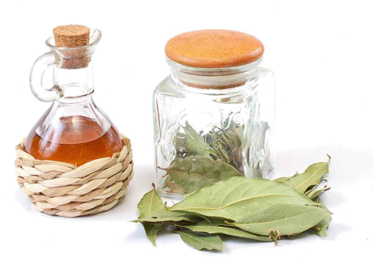 Bon à  savoirÂ : pourquoi faut-il plonger les feuilles de laurier dans du vinaigre
