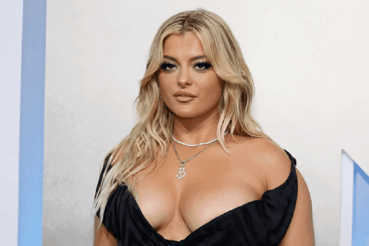 La chanteuse Bebe Rexha évacuée en plein concert : un fan lui jette son téléphone au visage (vidéo)