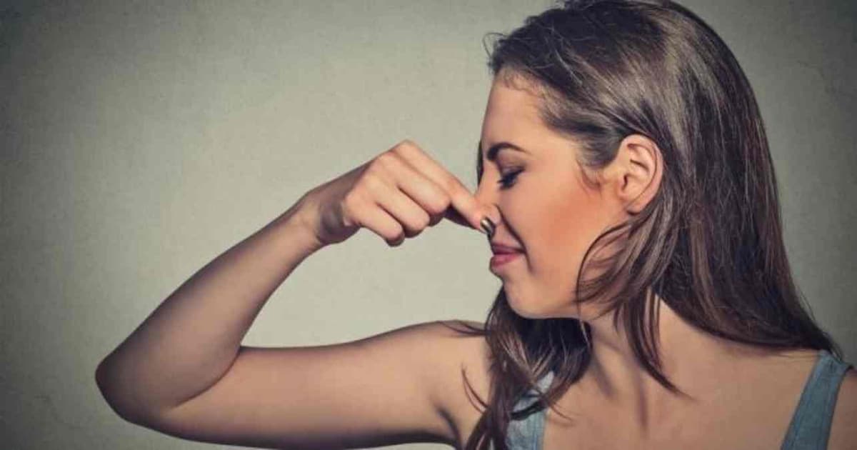 Bon à  savoir: Sentir les pets aiderait à  soulager ces maladies