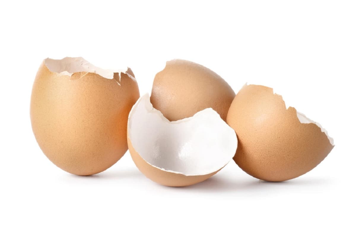 03 raisons surprenantes pour lesquelles vous ne devriez jamais jeter les coquilles d’Å“ufs