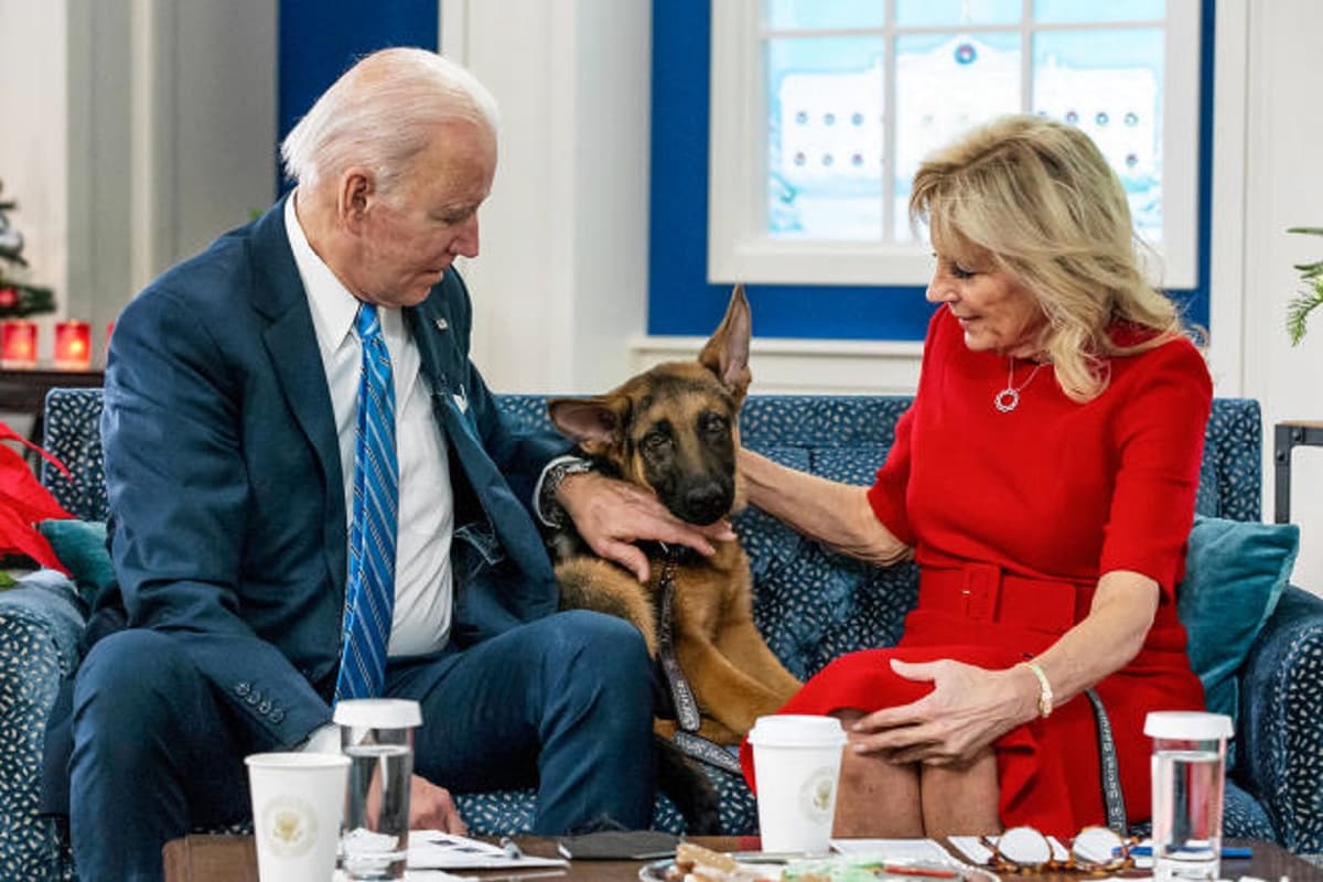USA: le chien de Joe Biden retiré de la Maison Blanche après plusieurs morsures sur des employés