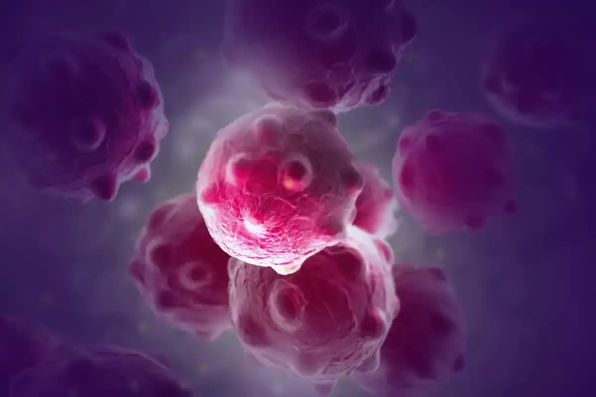 Togo: création d’un Conseil national de lutte contre le cancer