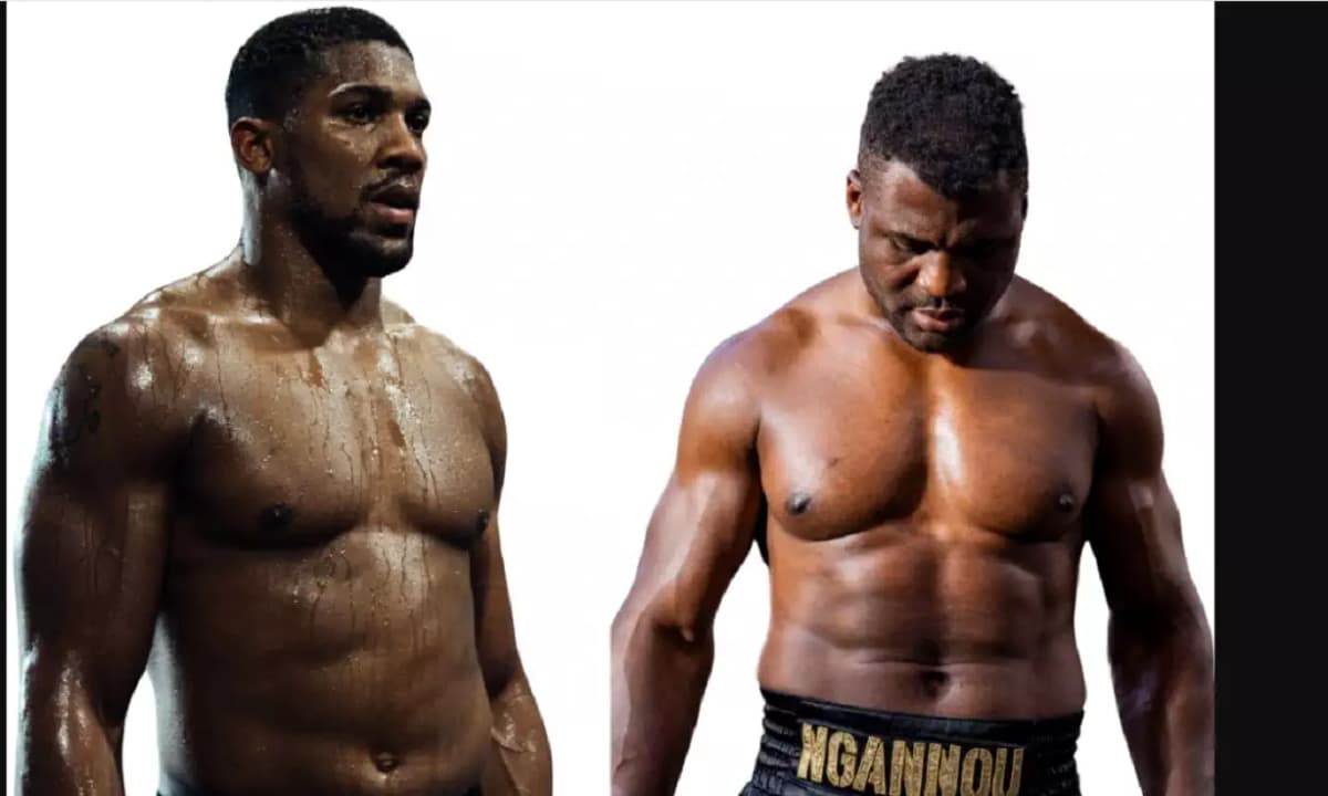 « Anthony Joshua ne survivra pas à  mon coup de poing », Francis Ngannou avant le combat du siècle