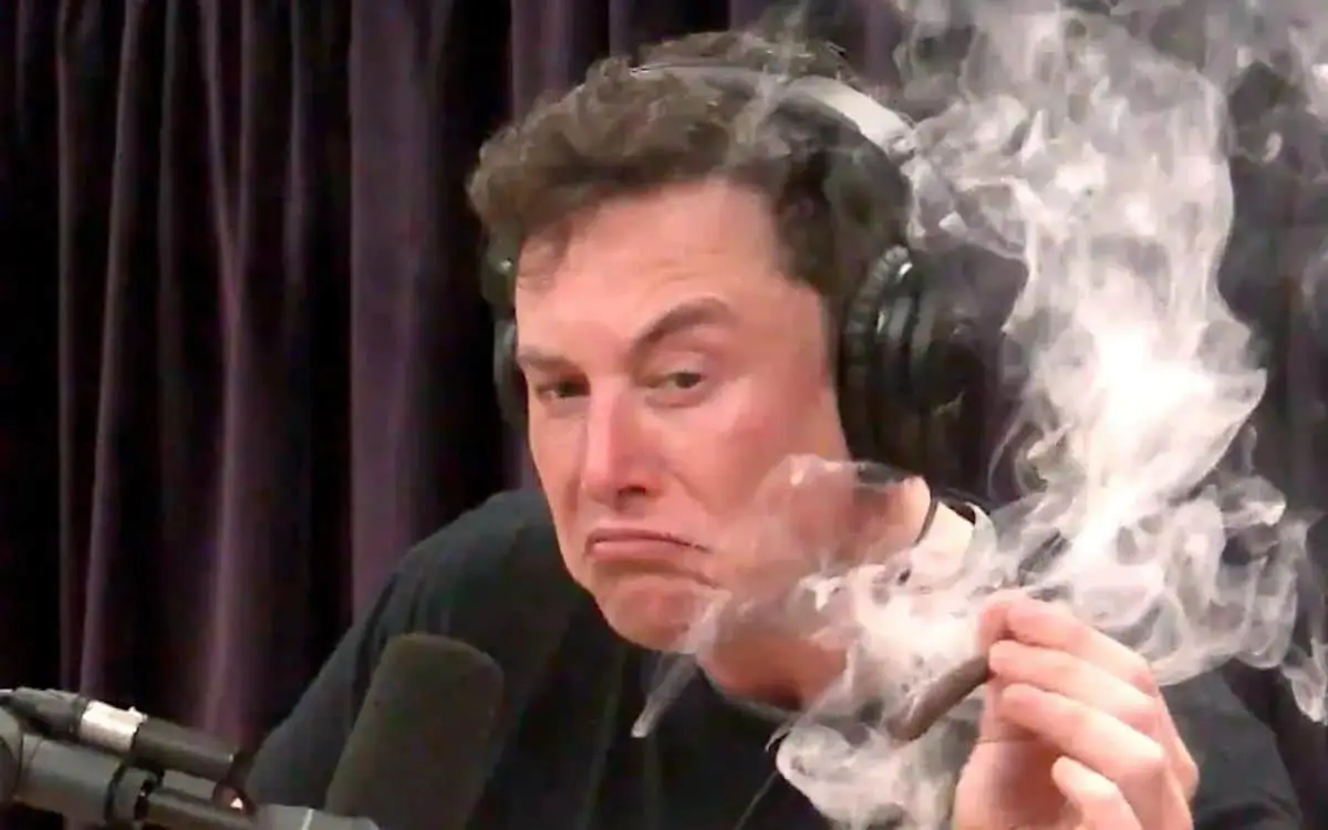 Le milliardaire Elon Musk dévoile sa plus grande peur
