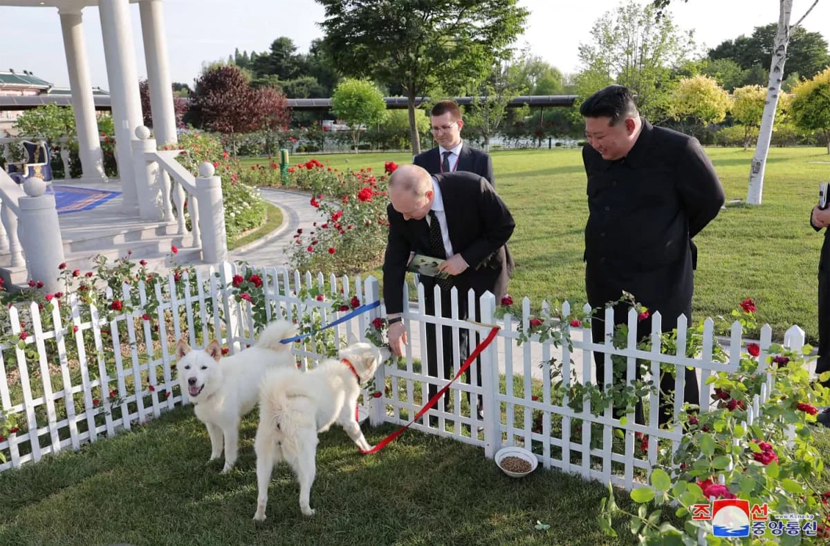 Kim Jong-un offre à  Vladimir Poutine une paire de chiens de chasse d’une race rare