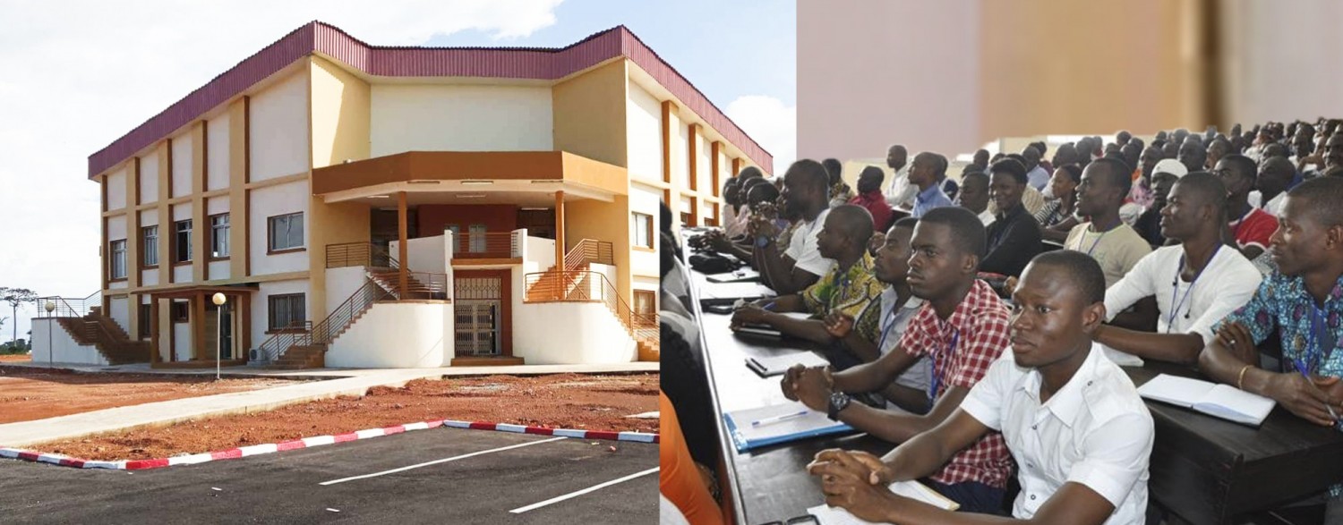 Côte d’Ivoire – Orientation bacheliers 2024 : les résultats disponibles, voici comment consulter