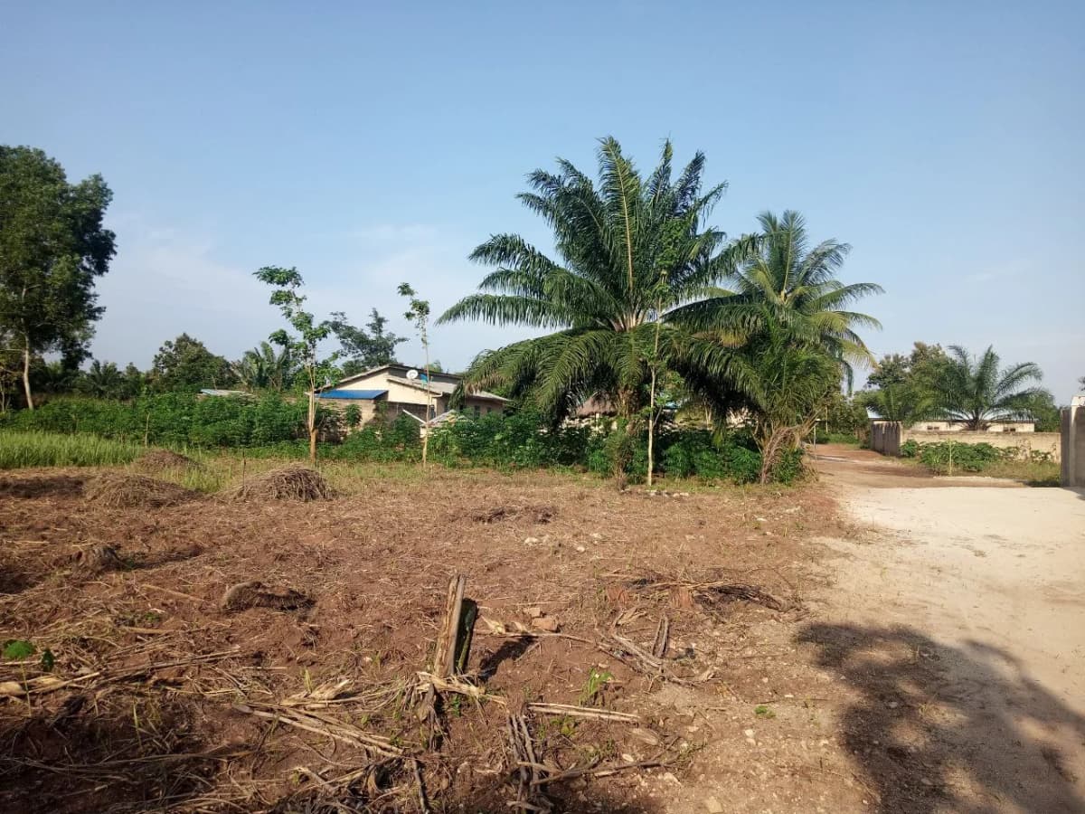 Domaine au Bénin: justification financière pour l’achat d’une grande superficie