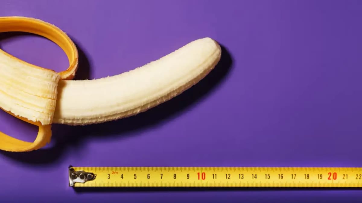 À quel âge le pénis arrête-t-il de grandir ?