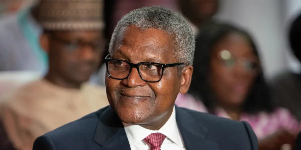 Niger: le gouvernement retire les avantages fiscaux à Dangote Cement et KAO Ciment