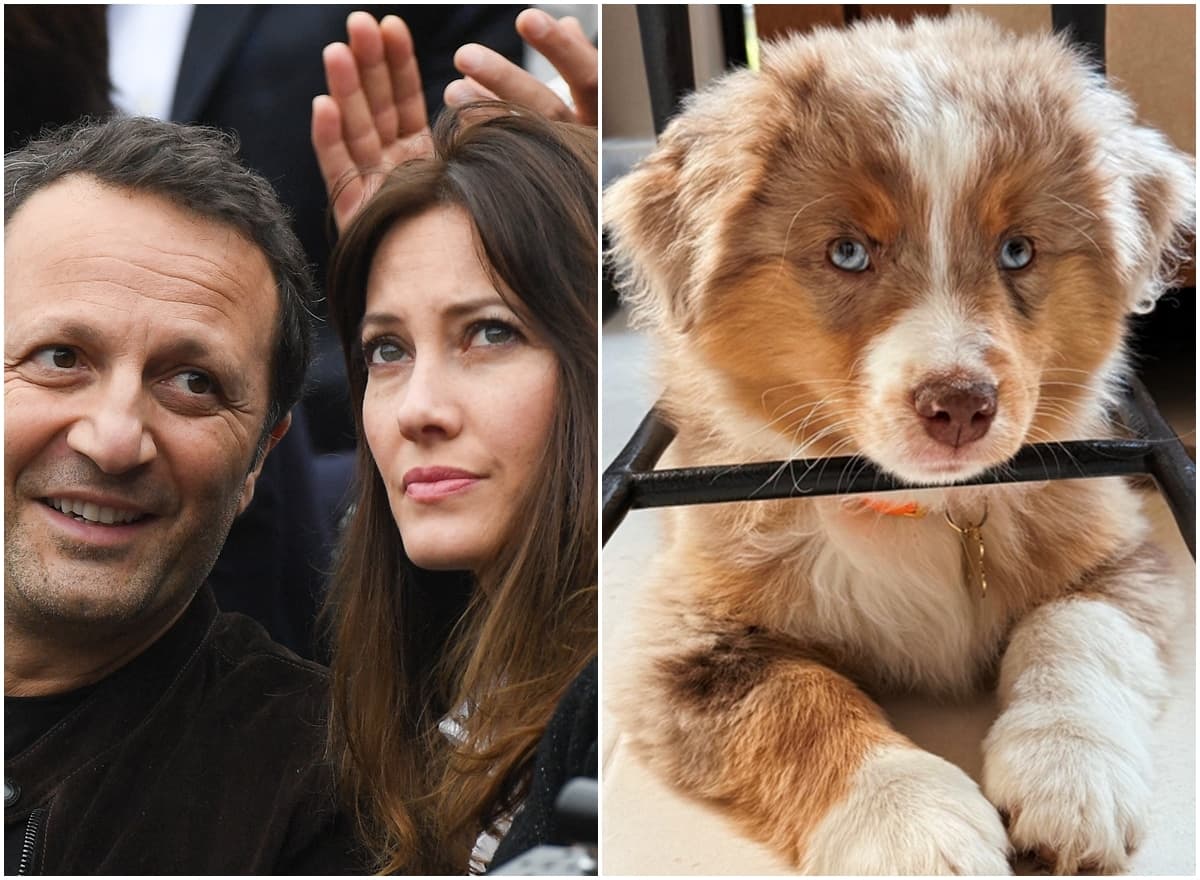 Mareva Galanter publie des photos d’Aïto, nouveau membre de leur famille