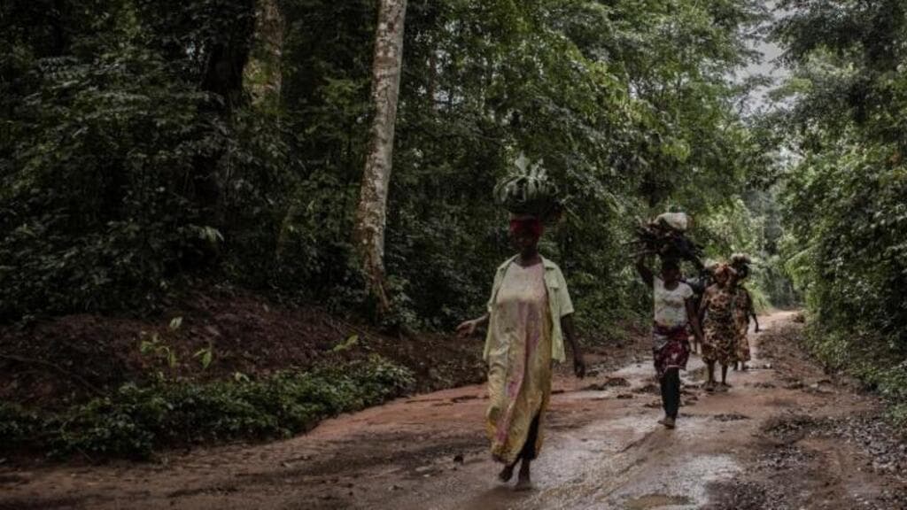 RDC : la réserve forestière de Yangambi élevée au rang de modèle par l’Unesco