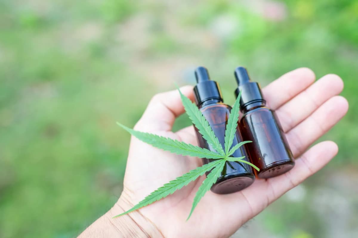 CBD sans THC : comment le consommer sans risquer son permis