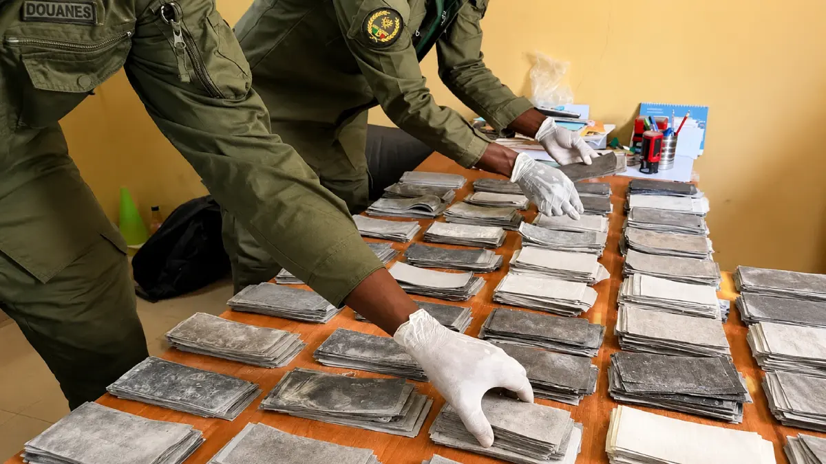 Criminalité financière : plus d’un milliard FCFA en billets noirs saisis au Sénégal