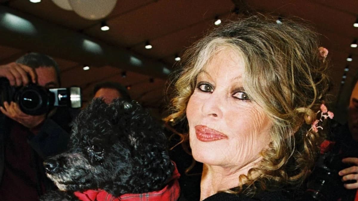Brigitte Bardot : une plage cannoise rebaptisée à son nom