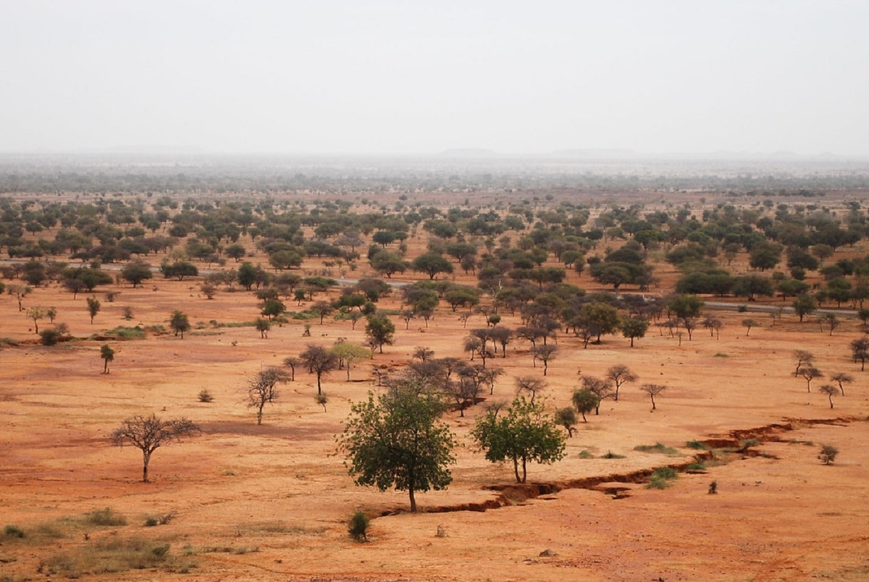 Security in the Sahel: Algeria reaffirms its role as a pillar and keeps its hand extended