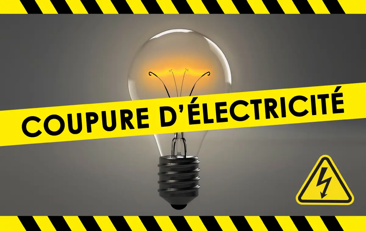 Electricity: Benin, Niger, and Togo owe Nigeria $17.8 million.